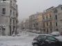 neve (48)